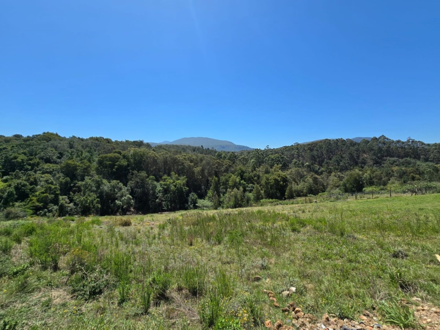 Commercial Property for Sale in Hoekwil Western Cape